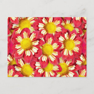Carte Postale Bouquet Dahlia - corail et blanc avec jaune