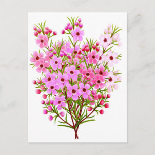 Carte postale Bouquet de fleurs de cire