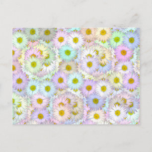 Carte Postale Bouquet de marguerite coloré - pastel