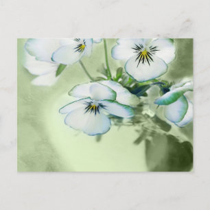 Carte Postale Bouquet de panneaux blancs sur Arrière - plan vert