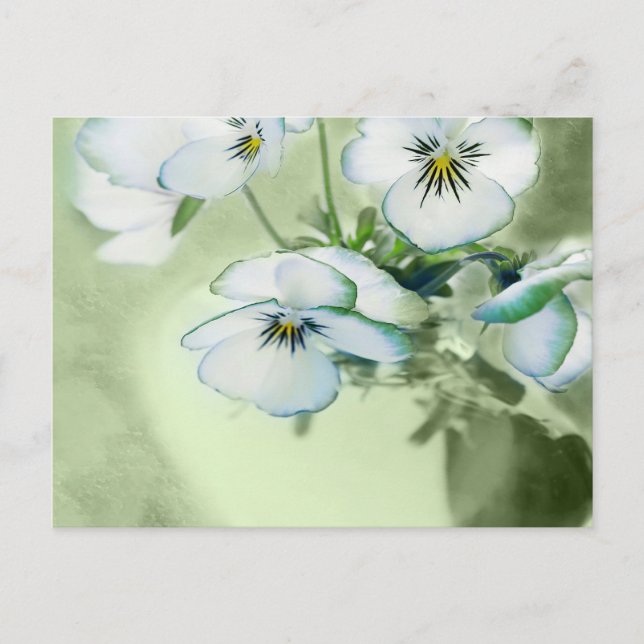 Carte Postale Bouquet de panneaux blancs sur Arrière - plan vert (Devant)