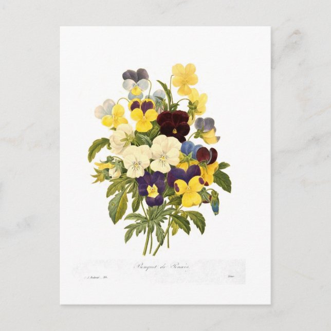Carte Postale Bouquet de panneaux de Pierre-Joseph Redouté (Devant)