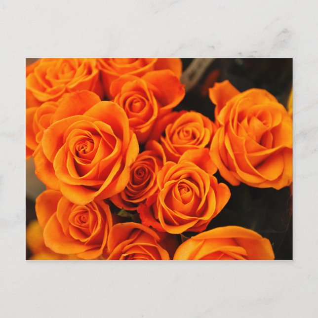 Carte Postale Bouquet de Roses oranges florissants (Devant)