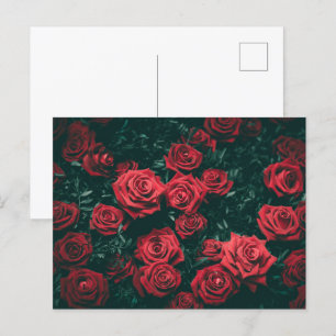 Carte Postale Bouquet de roses rouges