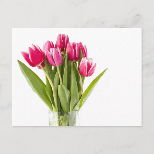 Carte Postale Bouquet de tulipes rouges et blanches dans un vase (Devant)