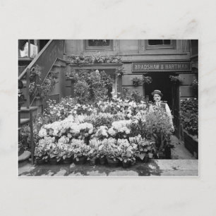 Carte Postale Boutique de fleurs de New York, 1895