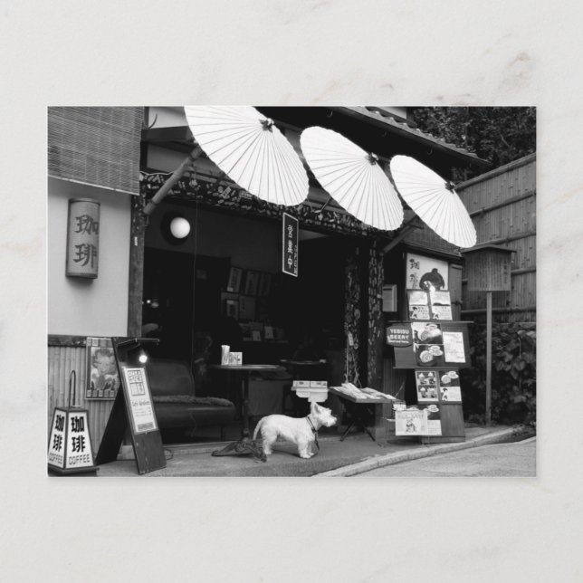 Carte Postale Boutique parapluie japonaise (Devant)
