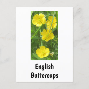 Carte postale Bouton Anglais