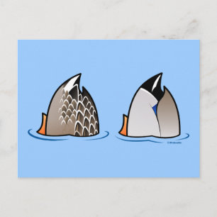 Carte Postale Boutons de canard