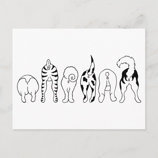 Carte Postale Boutons de chien (Devant)