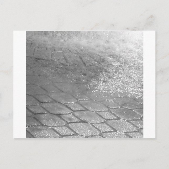 Carte Postale Boutons de pluie noirs et blancs (Devant)