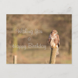 Carte Postale Bouzzard