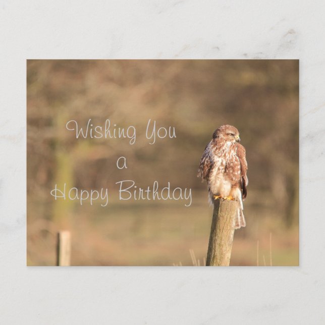 Carte Postale Bouzzard (Devant)