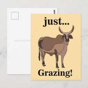 Carte Postale Bovin Zébu Vache Animal