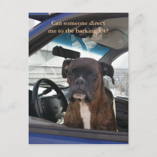 Carte Postale Boxer dans le siège du conducteur à Dutch Harbour,