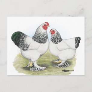 Carte Postale Brahma : Lumière2