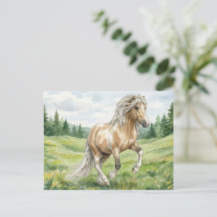 Carte Postale Brana Pinto Palomino Aquarelle islandaise