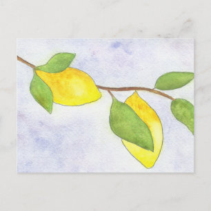 Carte Postale Branche d'arbre avec citrons et Feuilles en aquare