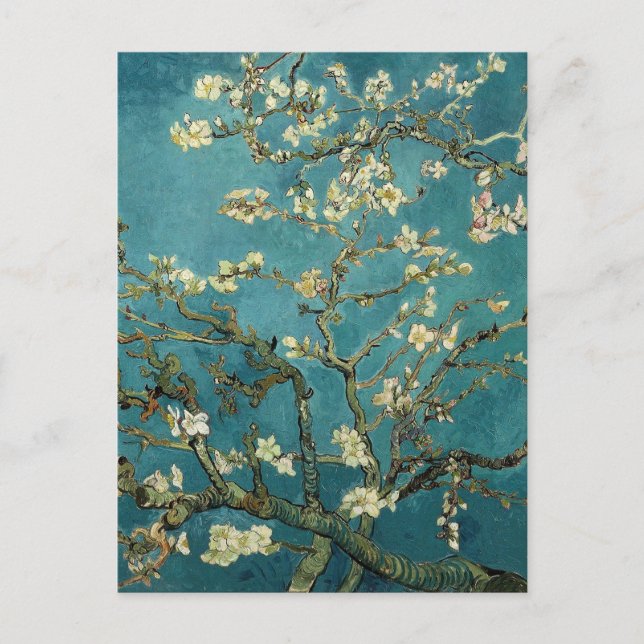Carte Postale Branches avec fleurs d'amandes par Vincent Van Gog (Devant)