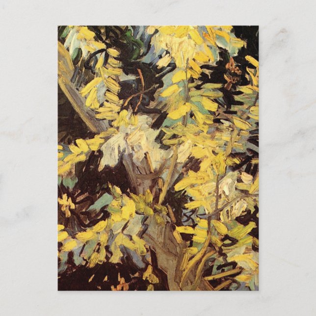 Carte Postale Branches de l'acacia florissante par Vincent van G (Devant)