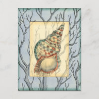 Branches des coquillages et des arbres