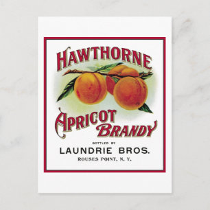 Carte Postale Brandy Hawthorne Apricot