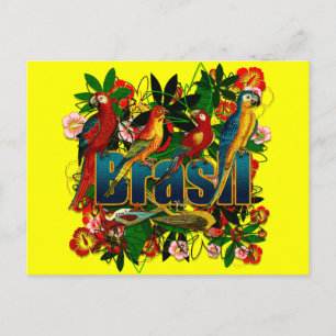 Carte Postale Brasil Brésil Tropical floral rainforest birds art