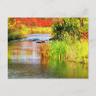 Carte Postale Brasserie Creek en automne Sunny Day Pittoresque 
