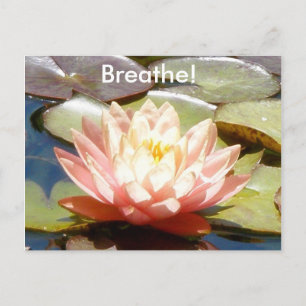 Carte Postale Breathe! Lotus Postcard
