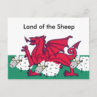 Carte Postale brebis galeuses, Pays des moutons