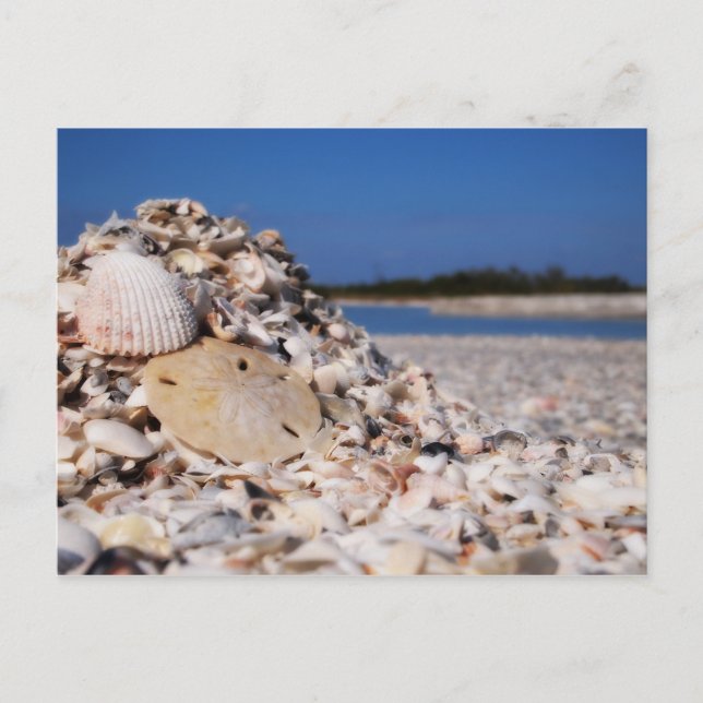 Carte Postale Brevet (Devant)