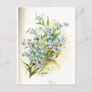 Carte Postale Brier rose