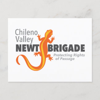 Carte Postale Brigade des tritons de Chileno Valley