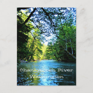 Carte Postale Bright Blue River Under Green Trees à Washington