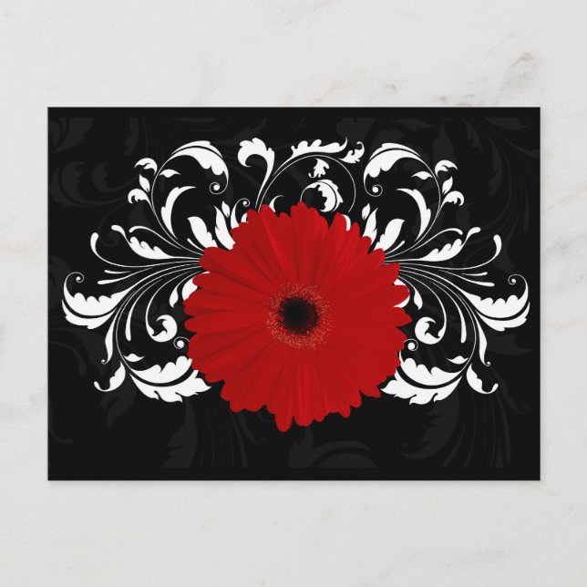Carte Postale Bright Red Gerbera Daisy on Black (Devant)