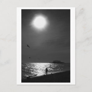 Carte Postale Brighton Beach Angleterre