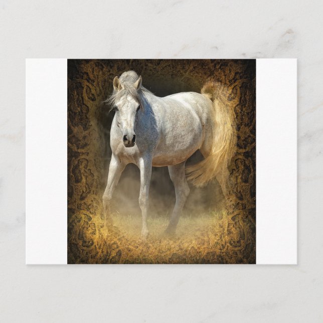 Carte Postale Brille-le ! (Devant)