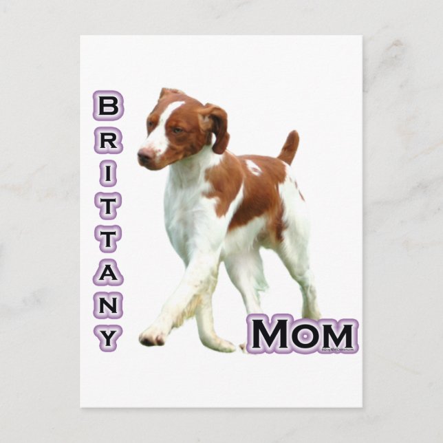 Carte Postale Brittany Maman 4 (Devant)