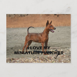 Carte Postale broche principale rouge plein amour avec pic