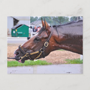 Carte Postale Broken Vow -Copeland's Angel Colt