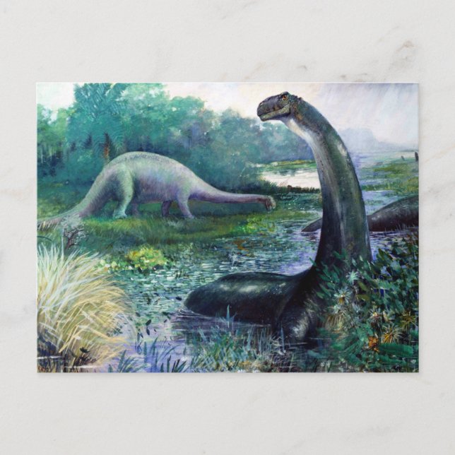 Carte Postale Brontosaurus (Devant)