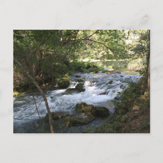 Carte Postale Brook à Alley Springs, Missouri (Devant)