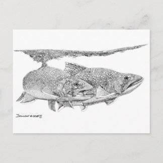 Carte Postale Brook Trout