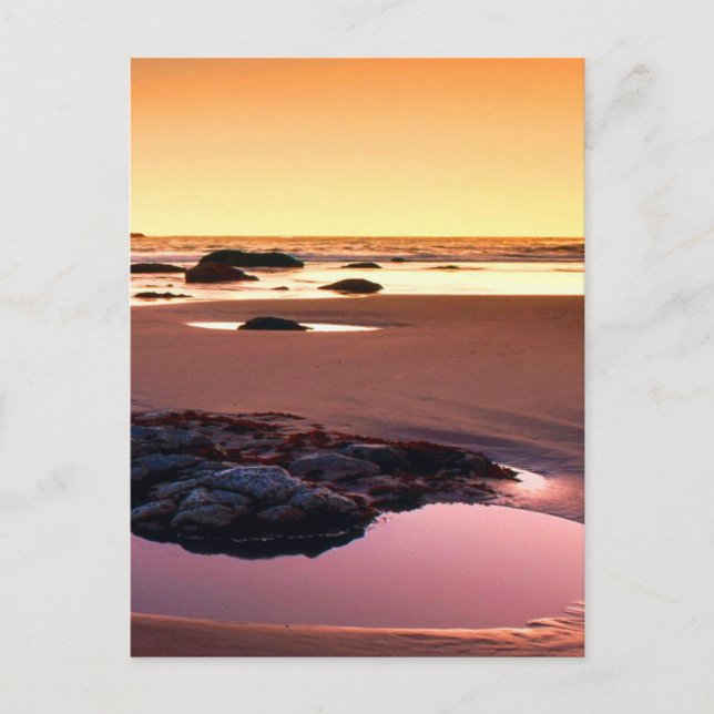 Carte Postale Brookings Harbour Sunset Fine Photo (Devant)