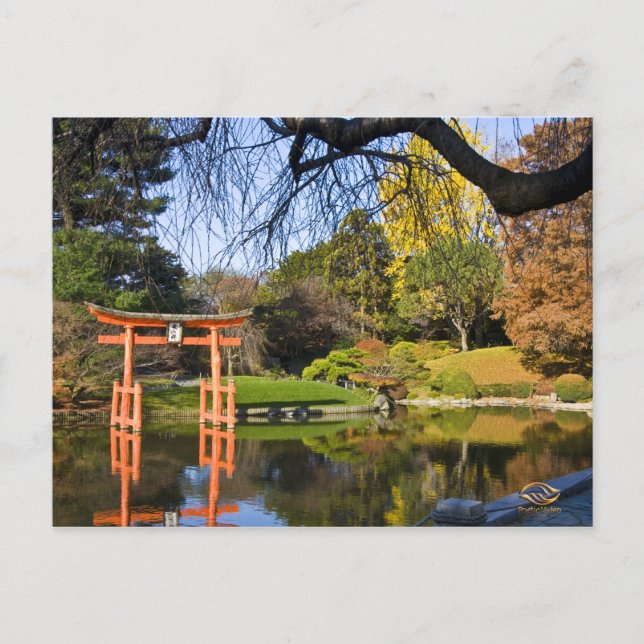 Carte Postale Brooklyn New York Botanic Garden Fall (Devant)