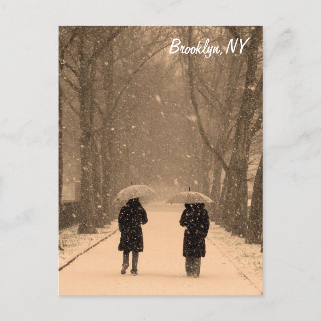 Carte postale Brooklyn Wintry Walk (Devant)