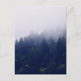 Carte Postale Brouillard forestier