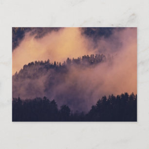 Carte Postale Brouillard hivernal dans la vallée au coucher du s