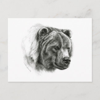 Carte Postale Brown Bear design by Schukina G054