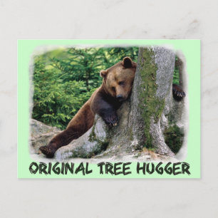 Carte Postale Brown de l'ours Hugger d'arbre origi